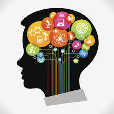 Perfil Profesional Verificador Catastral
