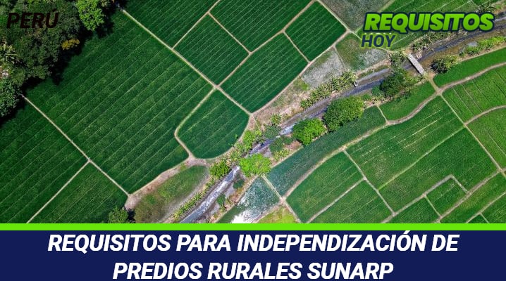 Requisitos para Independización de Predios Rurales SUNARP 