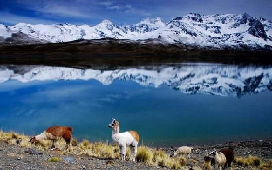 Requisitos para viajar a Bolivia desde Perú