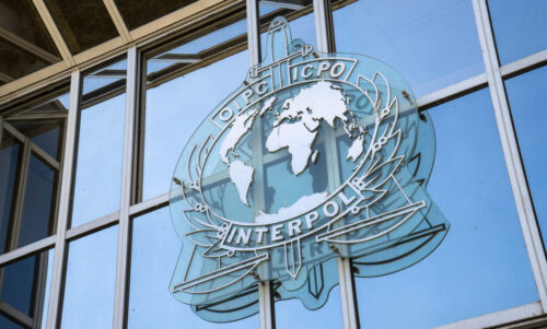 requisitos para ficha de Canje interpol intro