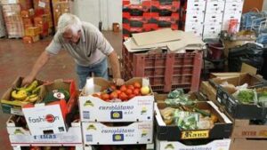 Ayuda de alimentos conclusion