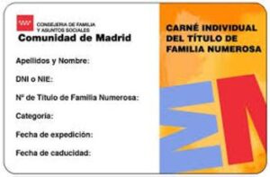 Carnet familia numerosa intro