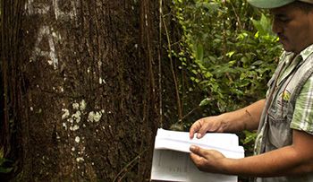 Como sacar El Certificado FSC