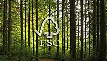Consejos y dudas el Certificado FSC