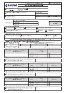 Formulario 6000 intro