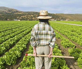 La Ayuda A Jovenes Agricultores