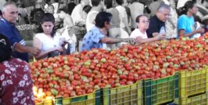Red Feria Cecosesola