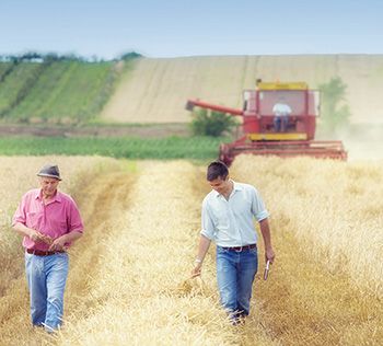 Requisitos para ser Joven Agricultor - Ayuda a Jóvenes Agricultores