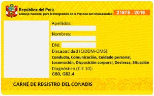 carnet conadis
