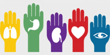 donacion de organos 2