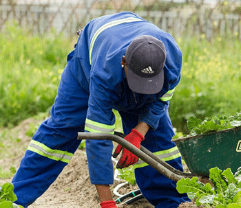 pasos para La Ayuda A Jovenes Agricultores