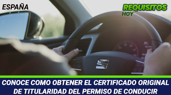 Certificado original de titularidad del permiso de conducir