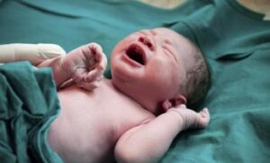 Certificado de nacimiento conclusion