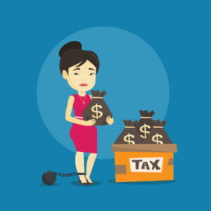 Certificado de no contribuyente conclusion