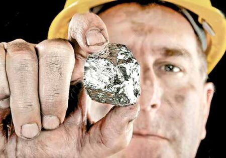 plata en la naturaleza