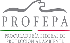 Como Obtener un Certificado de Calidad Ambiental Turística PROFEPA