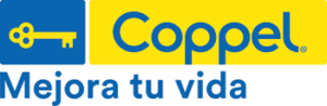 Como saber cuanto debo en coppel conclusion