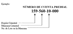 Cual es el numero de cuenta predial