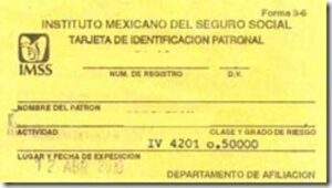 Cual es el registro patronal de mi empresa