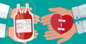 Donar sangre conclusion