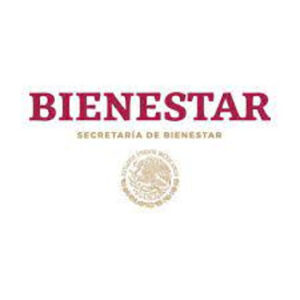 Programa bienestar conclusion