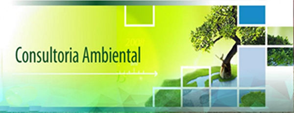 Formulario Ficha Ambiental Bolivia 