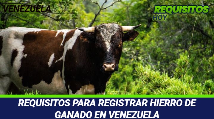 Requisitos para registrar hierro de ganado en Venezuela 