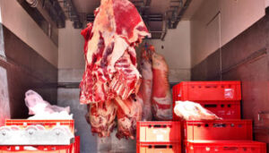 Transportar carne intro