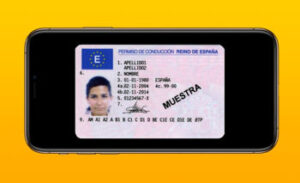 Canje de licencia conclusion