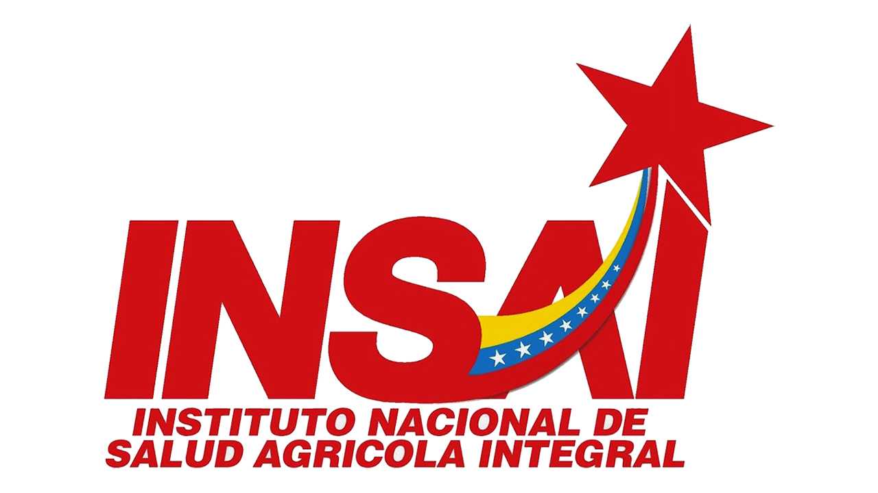 insai venezuela