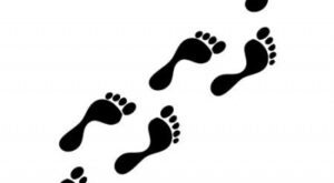 Como saber si estoy en DICOM El Salvador