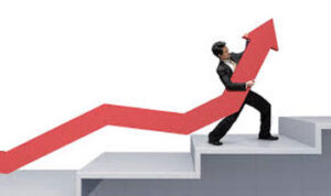 Cual es el fin de un partido politico