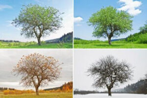 Cual es la mejor epoca para viajar a colombia