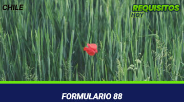 Formulario 88