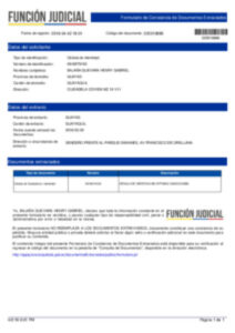 Formulario de perdida de documento intro