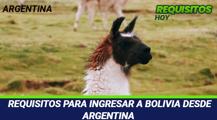 Requisitos para ingresar a Bolivia desde Argentina 