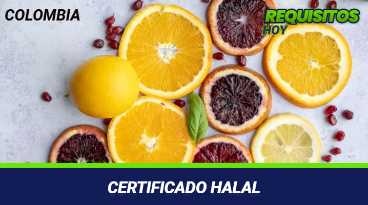 Certificado halal 