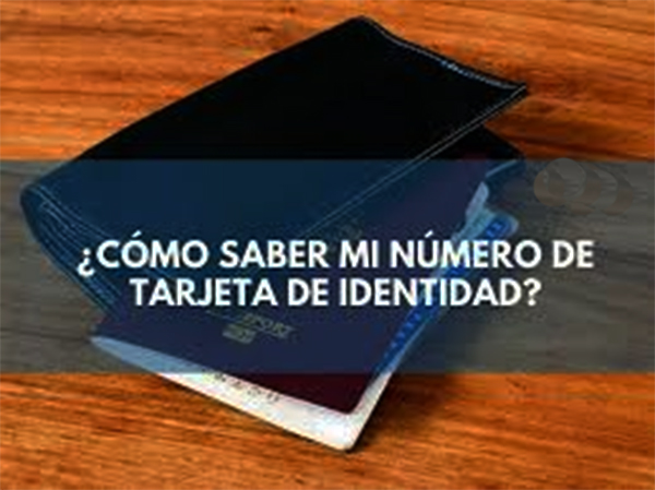 Como saber mi número de tarjeta de identidad