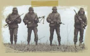 Conclusion certificado de guerra de malvinas