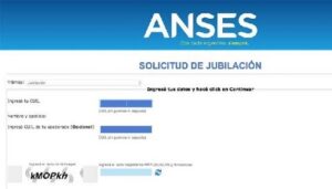 Información sumaria formato 6.258 ANSES