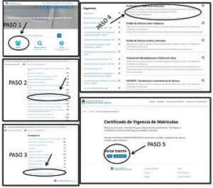 Que es el certificado de vigencia IGJ