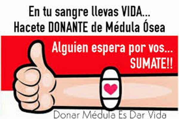 Requisitos para donar medula ósea