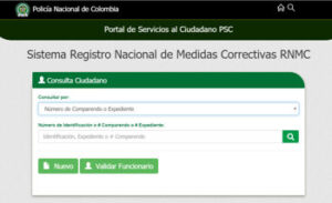 Sistema de Registro NAciconal de Medidas correctivas
