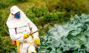 certificado fitosanitario