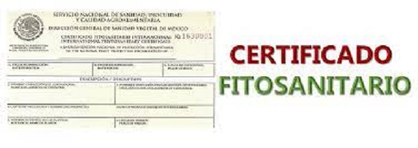 Certificado fitosanitario 1