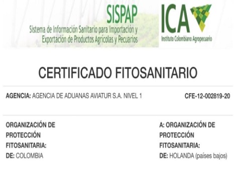 Certificado fitosanitario7
